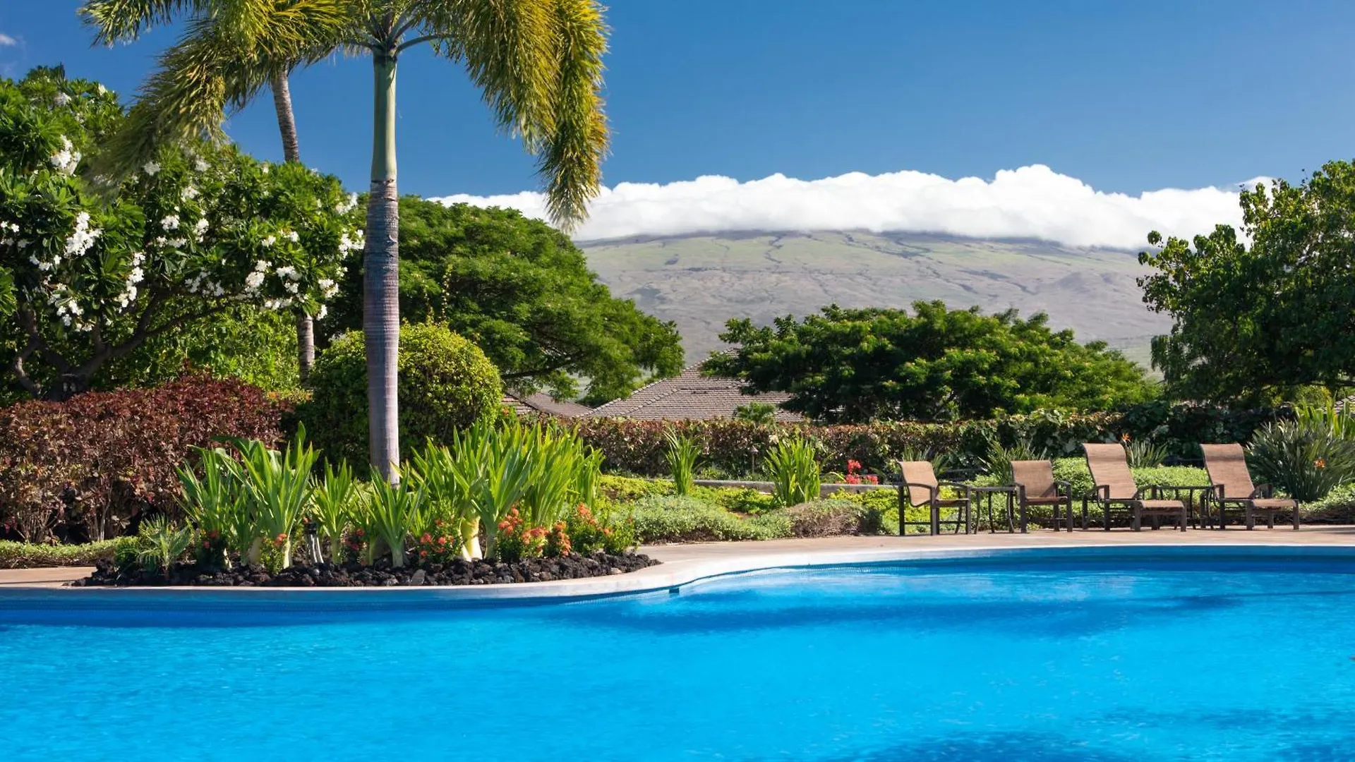 Flora Paradise New Kamilo 3Br Home Steps From Stunning Pool Complex Waikoloa