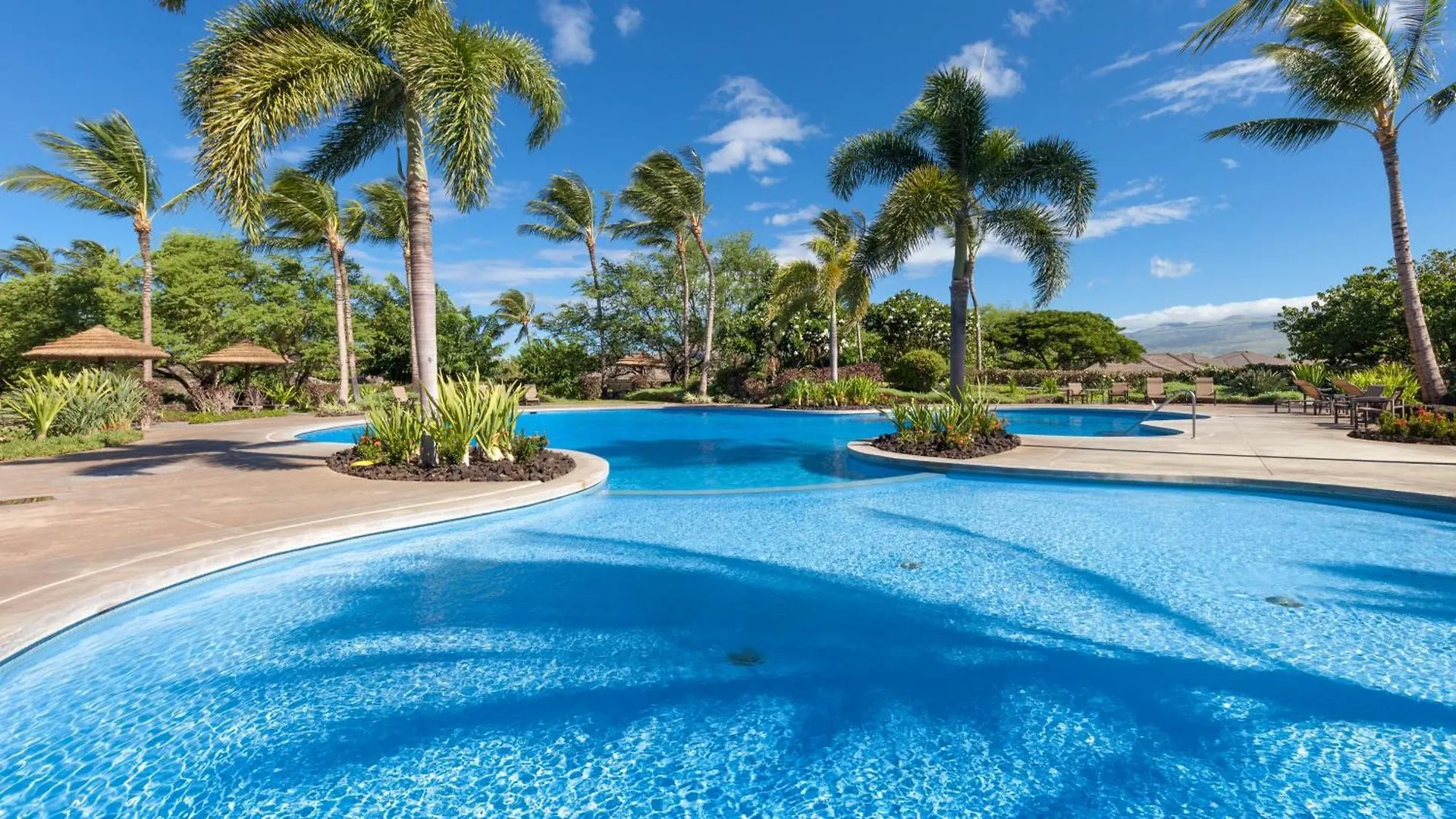 וויקולואה Flora Paradise New Kamilo 3Br Home Steps From Stunning Pool Complex